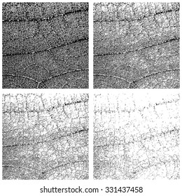 Grunge textures set of close up leaf, Vector background illustration EPS 10