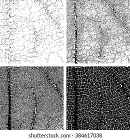 Grunge textures set of close up leaf, Vector background illustration EPS 10