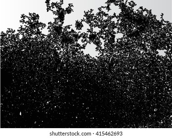 Grunge texture.Vector grunge background.