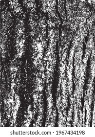 Grunge tree bark texture. Distressed overlay texture. Black and white vector texture