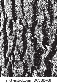 Grunge tree bark texture. Distressed overlay texture. Black and white vector texture