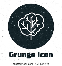 Grunge Tree icon isolated on white background. Forest symbol.  Vector Illustration