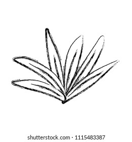 grunge tropical plant natural leaves style