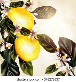 Grunge vector background with blooming lemon in vintage style