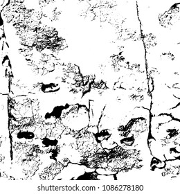 Grunge vector background texture for your design. Urban background. Grain noise distressed texture.