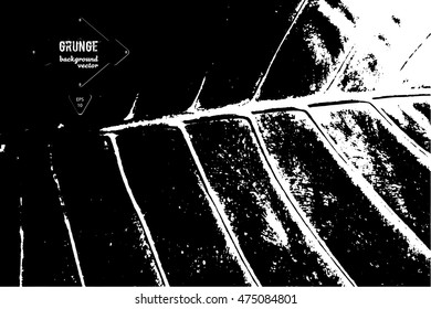 Grunge vector background.vector illustration EPS10. Tropical leaf close up the protruding vein. Jungle texture.
