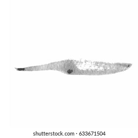 Grunge Vector Distressed Black Modern Textured Dry Brush Stroke