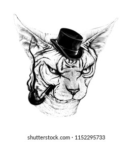 Grunge vector illustration with angry sphinx cat, tube and hat. Engraved lines style