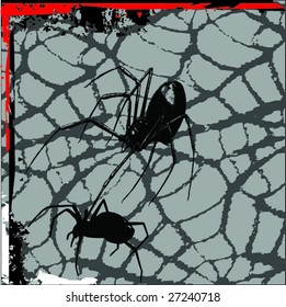grunge vector illustration of spider