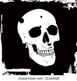 grunge vector skull