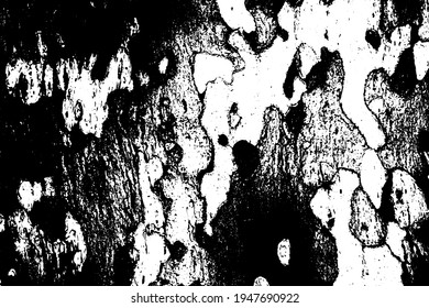 Grunge vector texture. Abstract cracked background. Aged and weathered broken surface. Dirty and damaged. Detailed rough backdrop. Vector graphic illustration.