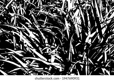 Grunge vector texture. Abstract cracked background. Aged and weathered broken surface. Dirty and damaged. Detailed rough backdrop. Vector graphic illustration.