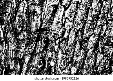 Grunge vector texture. Abstract cracked background. Aged and weathered broken surface. Dirty and damaged. Detailed rough backdrop. Vector graphic illustration.