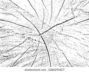 Grunge vector texture of a cherry cross-section. Monochromatic background with an old sawn log and cracks. Template for overlay or stencil use. A unique design element that is raw, natural