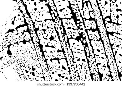 Grunge vector texture of spilled sauce or smeared black paint. Liquid ink pattern with surface tension effect
