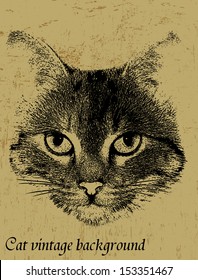 Grunge Vintage Background With Cat Theme, Vector Illustration