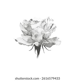 Grunge vintage roses in halftones. Aesthetic graphic tattoo. Gothic punk poster.Trendy elements with retro photocopy effect.