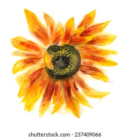 Grunge Watercolor Image Of Flower Of Sunflower On White Background. Vector Eps8