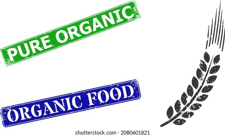 Grunge wheat ear icon and rectangular scratched Pure Organic seal stamp. Vector green Pure Organic and blue Organic Food watermarks with scratched rubber texture,