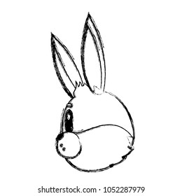 grunge wild rabbit head sideways animal