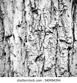 Grunge wood background. Halftone dots texture. Stock vector illustration.