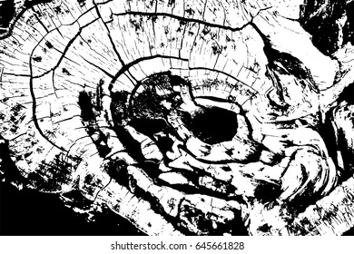 Grunge wood overlay texture. Vector illustration background in black over white, horizontal format.