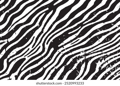 Grunge Zebra Stripe Texture - Fundo de padrão preto e branco abstrato    
