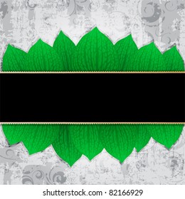 grungy background with banner and green leaves. Eps10 vector file.