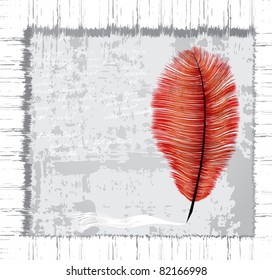grungy background with red feather. Eps10 layered vector file.