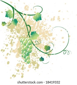 grungy illustration of a grapevine