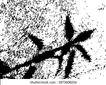 Grungy vector texture. Black shadow of plant on grunge concrete surface. Rough splatter on white background. Brushed wall texture for vintage overlay