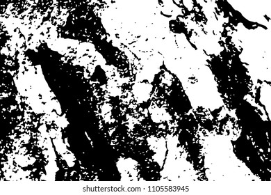 Grungy wooden texture. Rough timber black and white vector texture. Distressed tree bark surface. Obsolete timber structure. Natural lumber grit and scratch. Aged worn vintage overlay. Bark surface