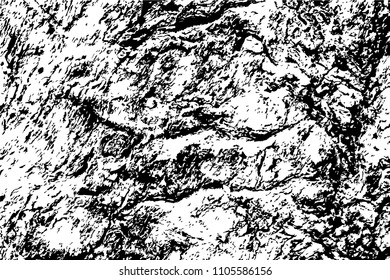 Grungy wooden texture. Rustic timber black and white vector texture. Distressed tree bark surface. Obsolete timber structure. Natural lumber with grit and scratch. Aged and worn vintage overlay