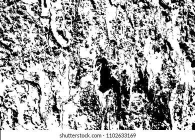 Grungy wooden texture. Subtle timber black and white vector texture. Distressed tree bark surface. Obsolete timber structure. Natural lumber grit and scratch. Aged worn vintage overlay. Wood surface