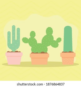 gruop of three cactus icons vector illustration design