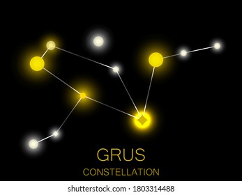 Grus constellation. Bright yellow stars in the night sky. A cluster of stars in deep space, the universe. Vector illustration