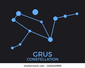 Grus constellation. Stars in the night sky. Cluster of stars and galaxies. Constellation of blue on a black background. Vector illustration