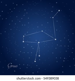 Grus, crane constellation at starry night sky