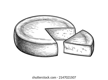 Gruyere cheese. Ink sketch isolated on white background. Hand drawn vector illustration. Vintage style stroke drawing.