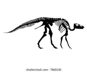 Gryposaurus fossil