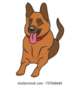 Gsd. Dog illustration on a white background.