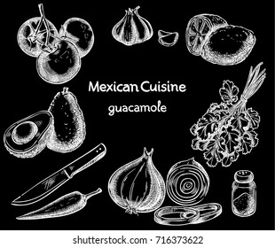 Guacamole, ingredients of the food vector sketch