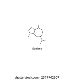 Guaiane skeletal structure.Sesquiterpene compound schematic illustration. Simple diagram, chemical structure.