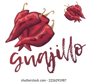 Guajillo-Chilis, Vektorgrafik, scharfe Pfefferkartoons einzeln auf weißem Hintergrund, Chilizutat für mexikanische Küchenschüsseln, sonnengetrocknetes rotes Gemüse