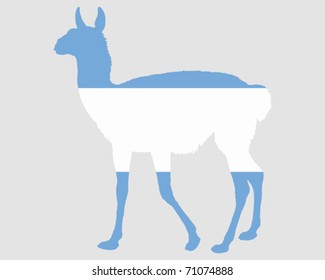 Guanaco Argentina