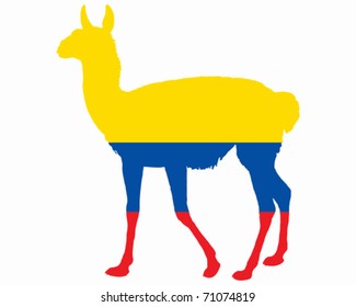 Guanaco Ecuador