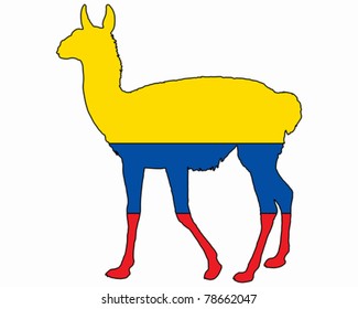 Guanaco Ecuador