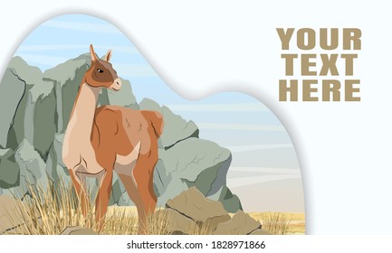 Guanaco Lama in a mountainous area with rocks, grass and bushes. Lama guanicoe. Wild animals of South America. Realistic vector landscape. Landing page template with multi-level shadows.