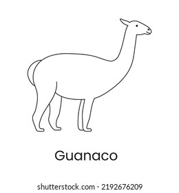 Guanaco is a line icon in a vector, an illustration of an animal.