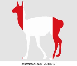 Guanaco Peru